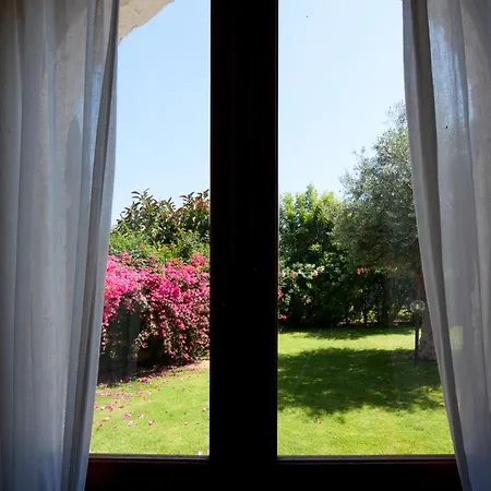 Bouganville Costa Rei